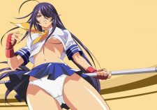 Ikki Tousen Kanu Unchou Anime