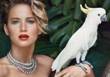 Jennifer Lawrence Poses Completely Nude Boobs Images