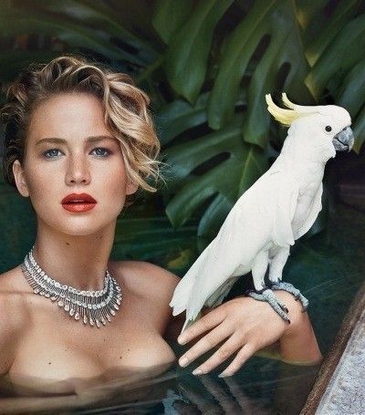 Jennifer Lawrence Poses Completely Nude Boobs Images