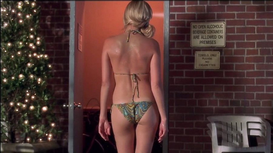 Malin Akerman Hot Ass