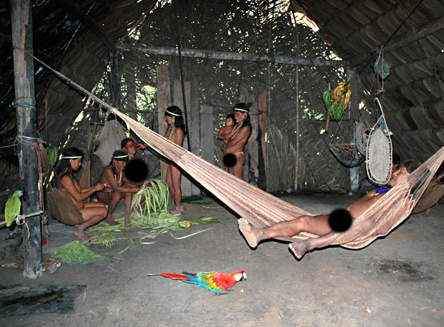 Nude Amazon Tribes Women