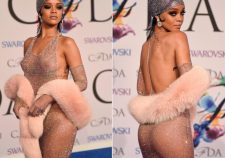 Rihanna Nude On Red Carpet Hd Photos