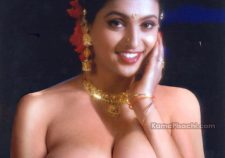 Actress Roja Nude
