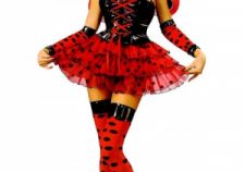 Adult Ladybug Costume Lady