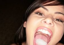 Bailey Amateur Allure Swallow