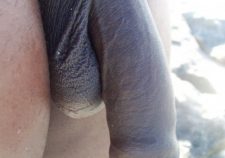 Big Black Man Uncut Cock