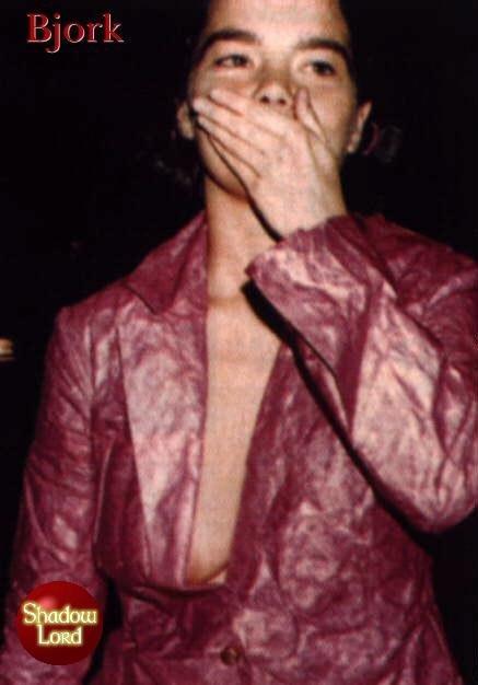 Bjork Nude