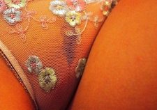 Camel Toe Pussy Slips