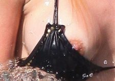 Carrie Prejean Nip Slip