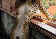 Cat Girl Body Paint