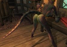 Elder Scrolls Oblivion Nude Argonian Female