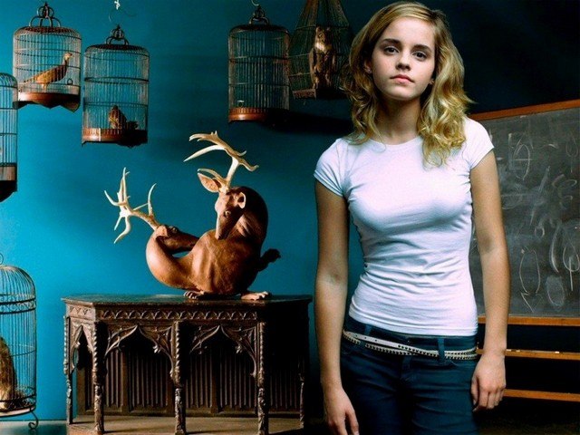 Emma Watson As Harry Potter