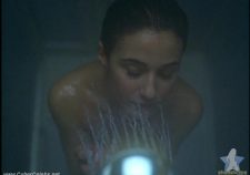 Emmanuelle Chriqui Tits