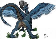 Eragon And Saphira Porn