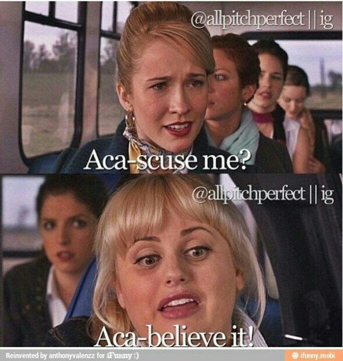 Fat Amy Pitch Perfect