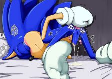 Gay Furry Porn Sonic The Hedgehog