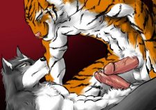 Gay Furry Tiger Wolf