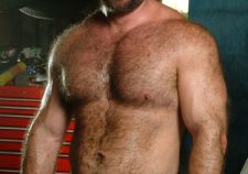Gay Muscle Bears