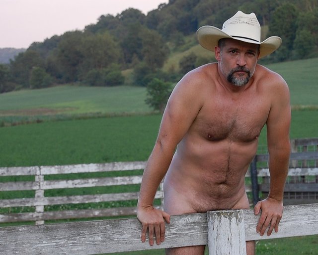 Hairy Gay Cowboy Bears