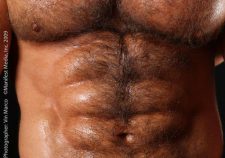 Hairy Muscle Gay Porn Stars