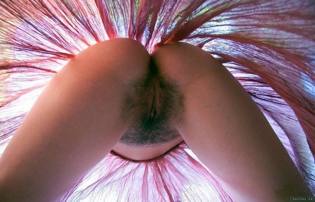 Hairy Pussy Upskirts