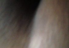 Haitian Porno Free Xxx