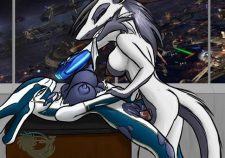 Halo Female Elite Hentai Porn
