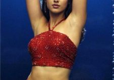 Ileana D Cruz Saree Hot