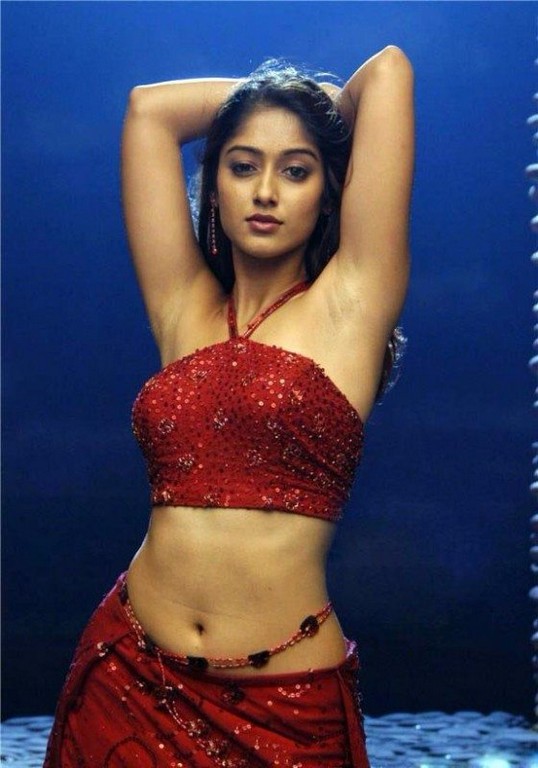 Ileana D Cruz Saree Hot