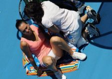 Jelena Jankovic Nude Fakes