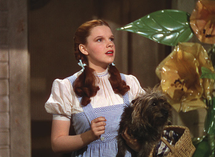 Judy Garland Wizard Of Oz