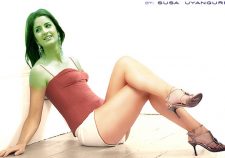 Katrina Kaif News