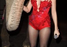 Katy Perry Elephant