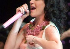 Katy Perry Nip Slip