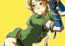 Legend Of Zelda Link Yaoi Hentai