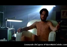 Leonardo Dicaprio Gay