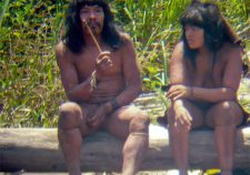 Mashco Piro Tribe