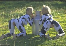 Naked Women Painted Like Cows