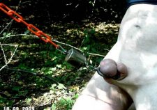 National Geographic Wild Sex