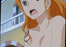 One Piece Porn And Hentai
