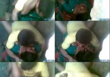 Punjabi Village Sex Mms