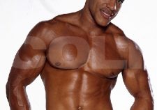 Randy Orton Gay Porn