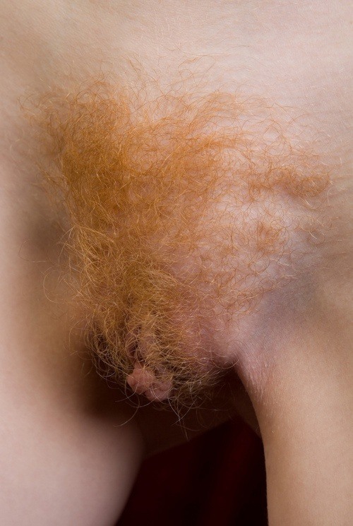 Red Pubic Hair Bush