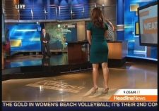 Robin Meade Butt