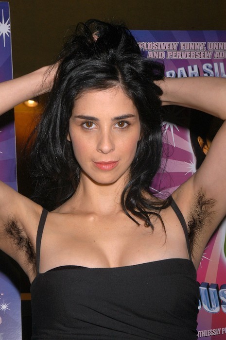 Sarah Silverman Hairy Arms