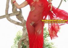 See Thru Indian Saree Hot Actress Nude