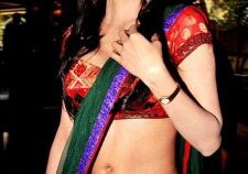 Sherlyn Chopra Indian Actress