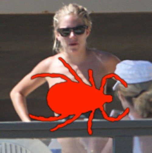 Sienna Miller Bikini Top