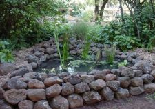 Small Pond Liners