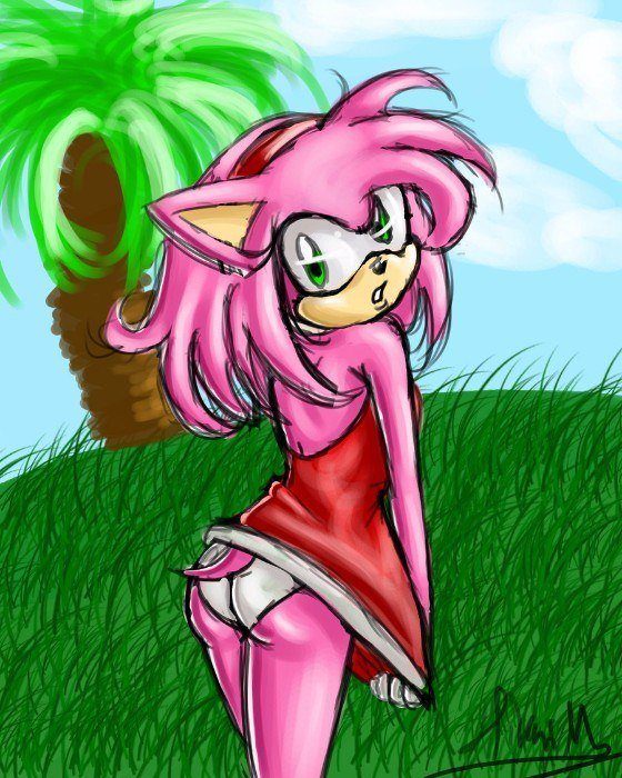 Sonic The Hedgehog Amy Sexy